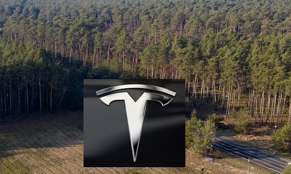 Tesla Almanya Fabrika Yapımı Durduruldu.