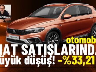 Fiat otomobil satışları 2024